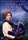 Gorillas im Nebel - Die Leidenschaft der Dian Fossey (uncut)